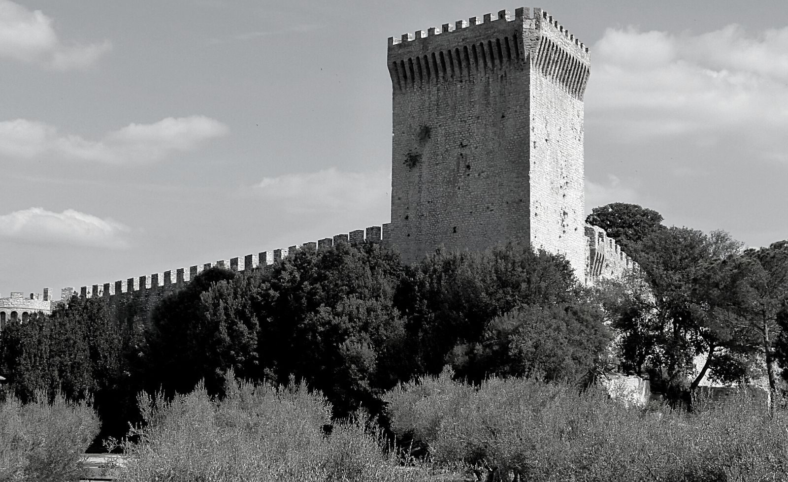 uliveto-rocca-bianco-nero1600x980
