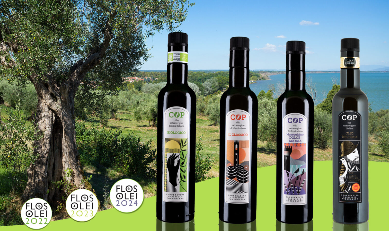 Olio-EVO-COP-Umbria-flosolei