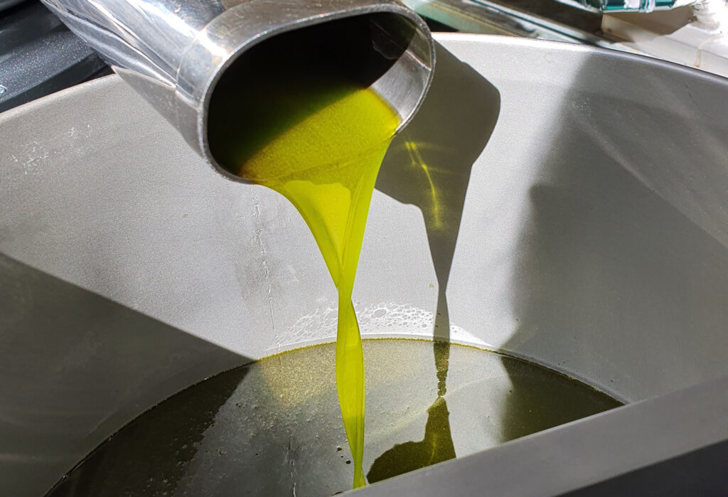 Cose da sapere per scegliere ed acquistare un olio d'oliva di qualità