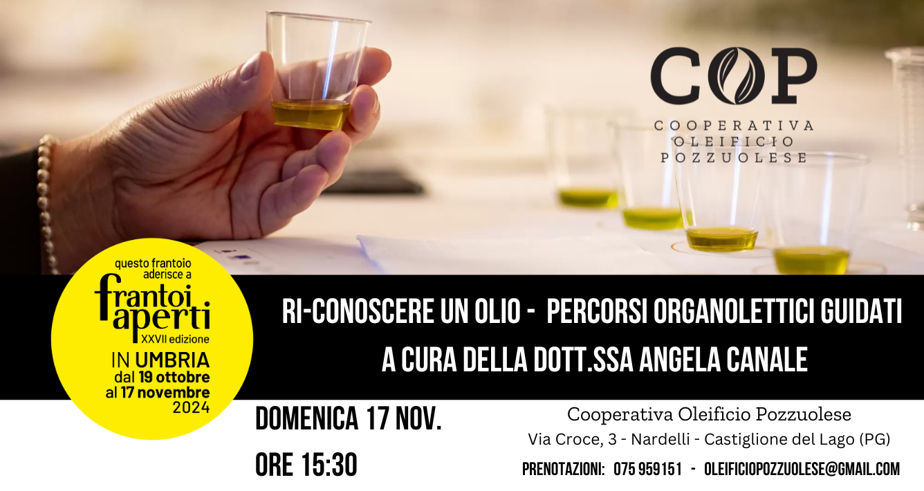 RI-CONOSCERE UN OLIO. PERCORSI ORGANOLETTICI GUIDATI. DOMENICA 17 NOVEMBRE 2024